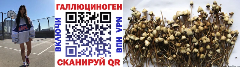 Псилоцибиновые грибы Magic Shrooms  Анапа 